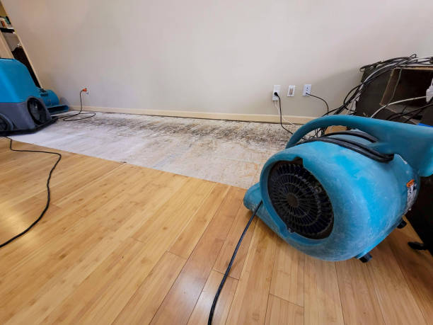 Professional Emergency Water Damage technician working in Norwood, PA
